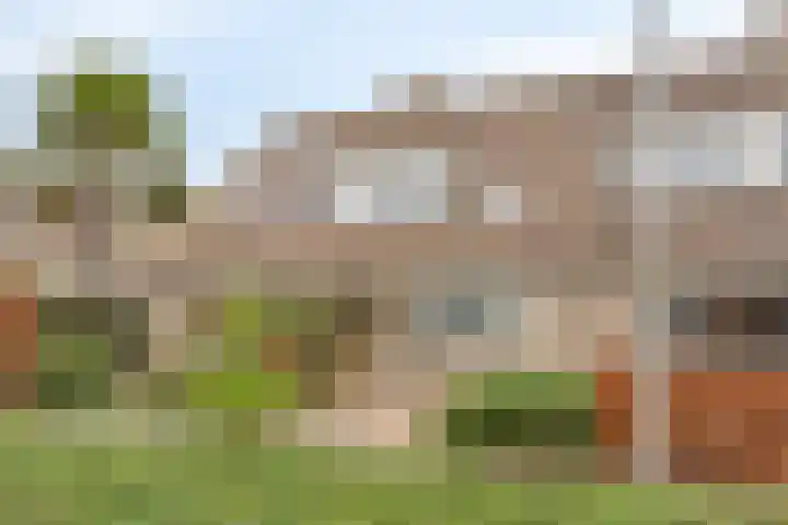 Molenaar Van Schelvenlaan 22 Krimpen aan den IJssel thumbnail 27
