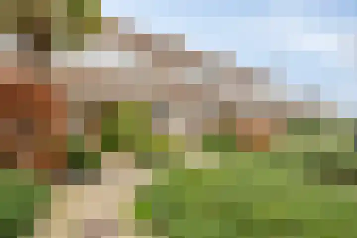 Molenaar Van Schelvenlaan 22 Krimpen aan den IJssel thumbnail 28