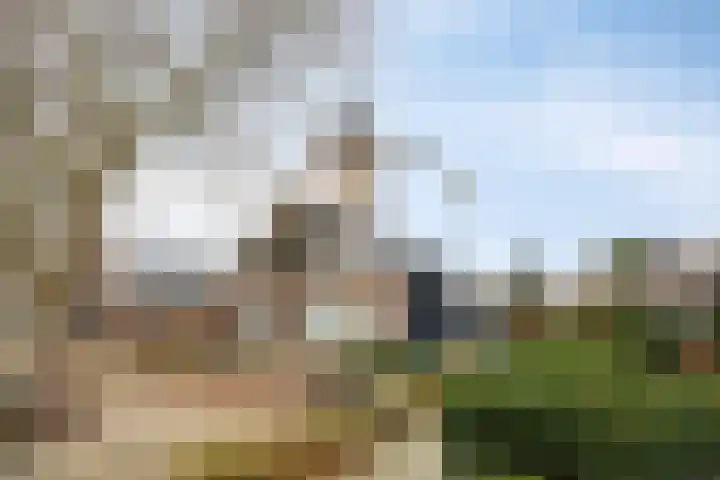 Molenaar Van Schelvenlaan 22 Krimpen aan den IJssel thumbnail 29