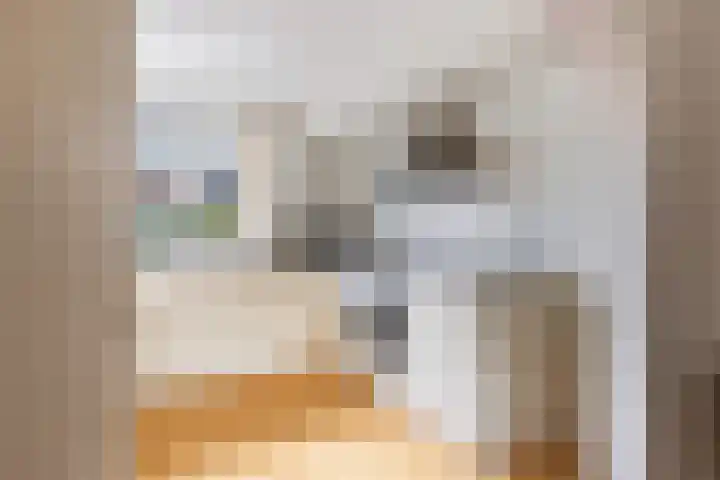 Molenaar Van Schelvenlaan 3 Krimpen aan den IJssel thumbnail 12
