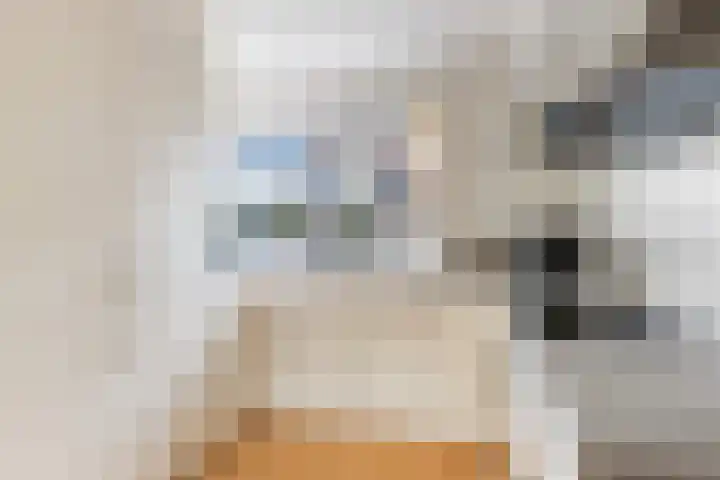 Molenaar Van Schelvenlaan 3 Krimpen aan den IJssel thumbnail 13