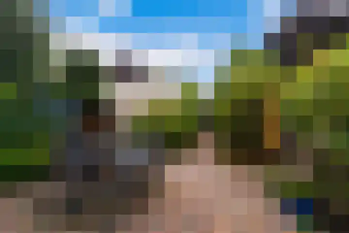Molenaar Van Schelvenlaan 3 Krimpen aan den IJssel foto 2