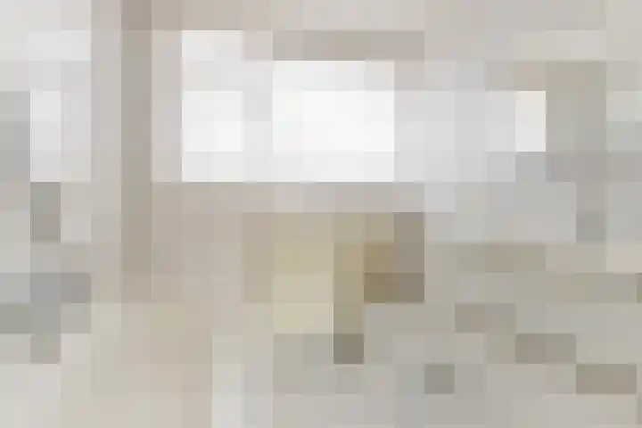 Molenaar Van Schelvenlaan 3 Krimpen aan den IJssel thumbnail 24
