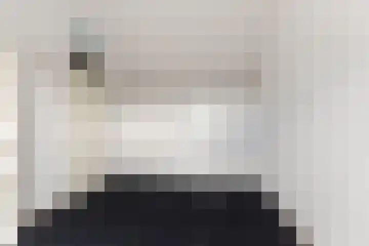 Molenaar Van Schelvenlaan 3 Krimpen aan den IJssel thumbnail 29