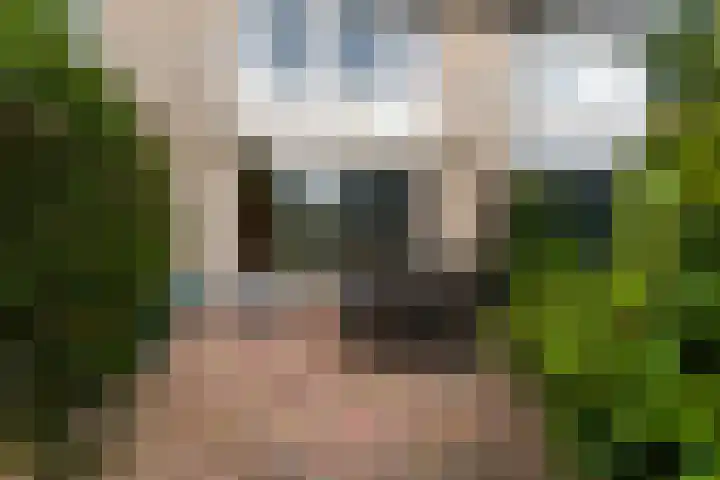 Molenaar Van Schelvenlaan 3 Krimpen aan den IJssel thumbnail 30