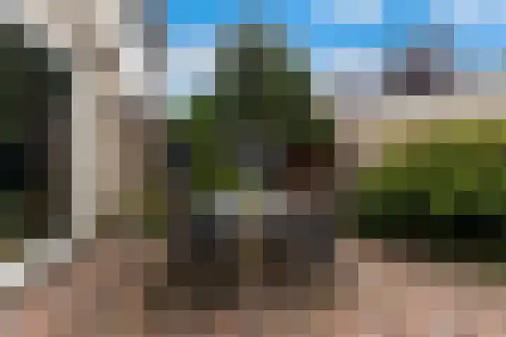 Molenaar Van Schelvenlaan 3 Krimpen aan den IJssel thumbnail 31