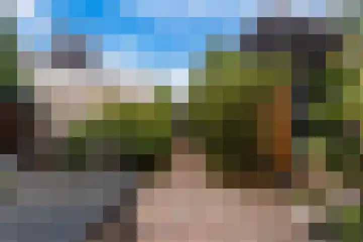 Molenaar Van Schelvenlaan 3 Krimpen aan den IJssel thumbnail 32