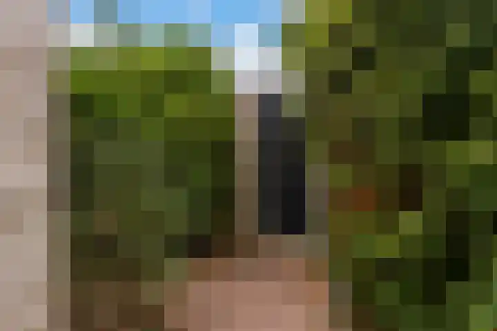 Molenaar Van Schelvenlaan 3 Krimpen aan den IJssel thumbnail 33