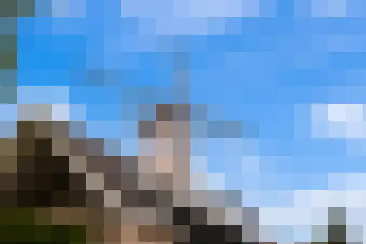 Molenaar Van Schelvenlaan 3 Krimpen aan den IJssel thumbnail 39