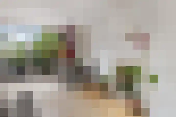Molenaar Van Schelvenlaan 3 Krimpen aan den IJssel thumbnail 7