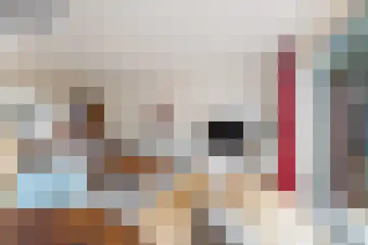Molenaar Van Schelvenlaan 3 Krimpen aan den IJssel thumbnail 9