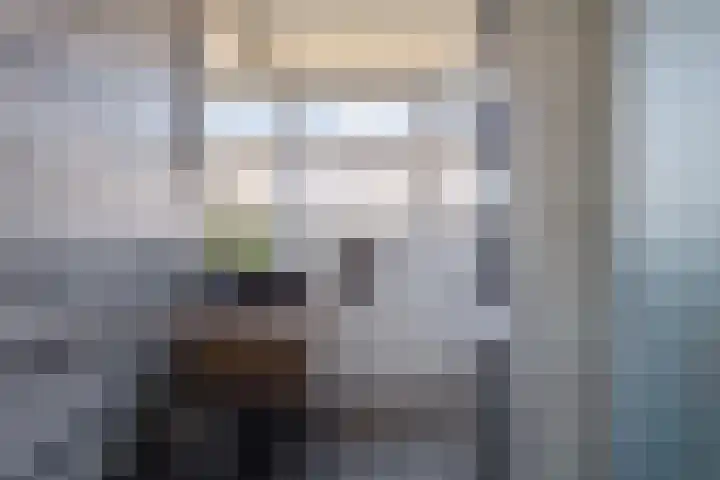 Molenaar Van Schelvenlaan 6 Krimpen aan den IJssel thumbnail 12
