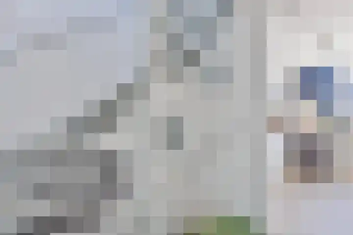 Molenaar Van Schelvenlaan 6 Krimpen aan den IJssel thumbnail 20