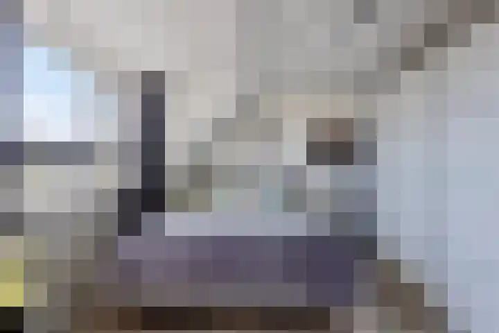 Molenaar Van Schelvenlaan 6 Krimpen aan den IJssel thumbnail 22