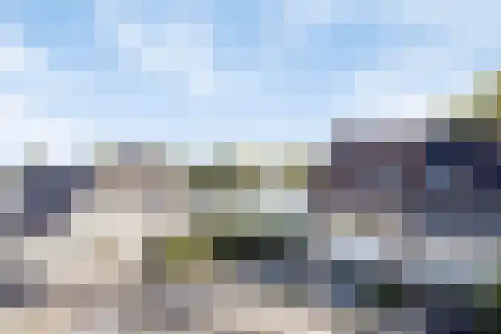 Molenaar Van Schelvenlaan 6 Krimpen aan den IJssel thumbnail 24