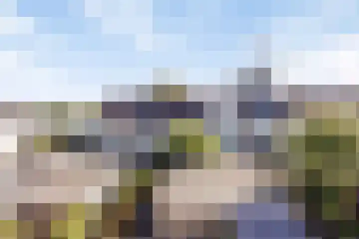 Molenaar Van Schelvenlaan 6 Krimpen aan den IJssel thumbnail 28