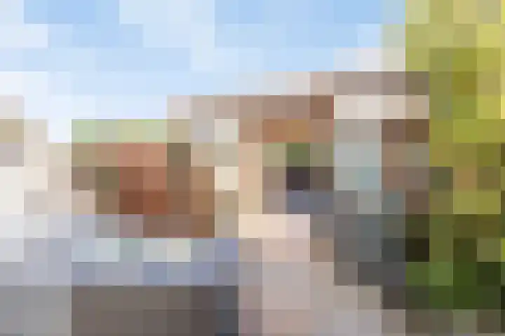 Molenaar Van Schelvenlaan 6 Krimpen aan den IJssel thumbnail 29