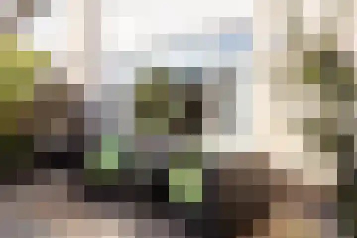 Molenaar Van Schelvenlaan 6 Krimpen aan den IJssel thumbnail 30