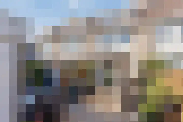 Molenaar Van Schelvenlaan 6 Krimpen aan den IJssel thumbnail 33