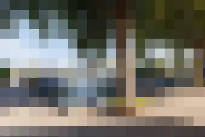 Molenaar Van Schelvenlaan 6 Krimpen aan den IJssel thumbnail 34