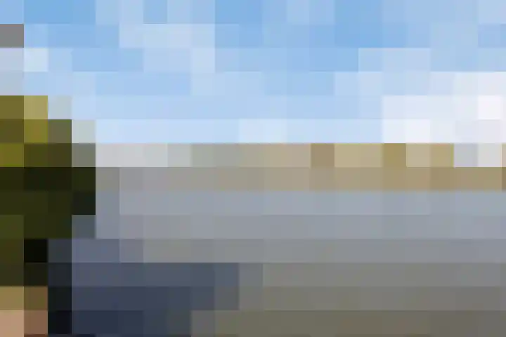 Molenaar Van Schelvenlaan 6 Krimpen aan den IJssel thumbnail 35