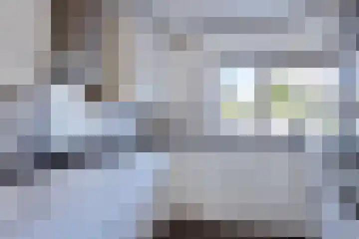 Molenaar Van Schelvenlaan 6 Krimpen aan den IJssel thumbnail 9
