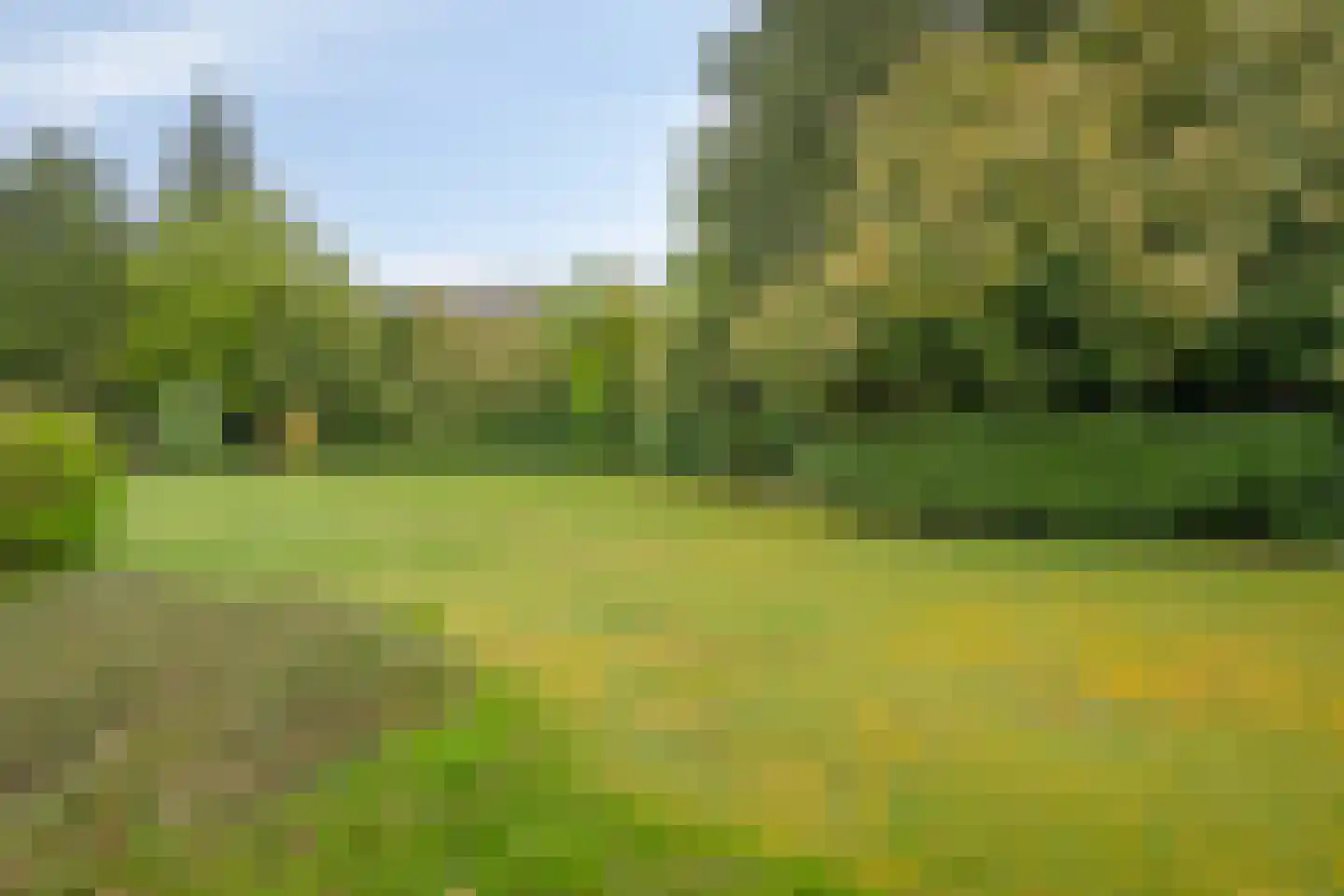 Molenaarlaan 20 Sittard thumbnail 14