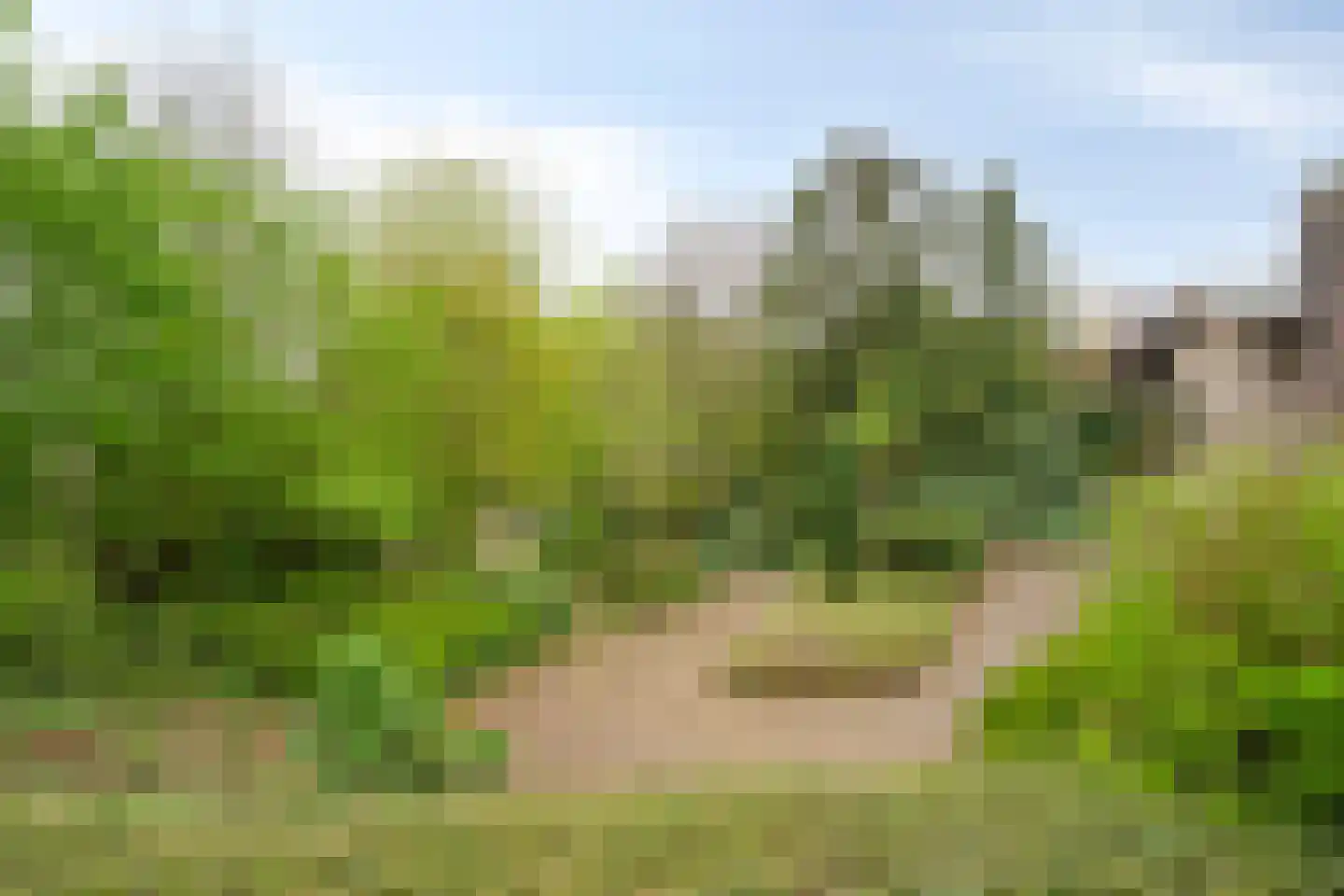 Molenaarlaan 20 Sittard thumbnail 15