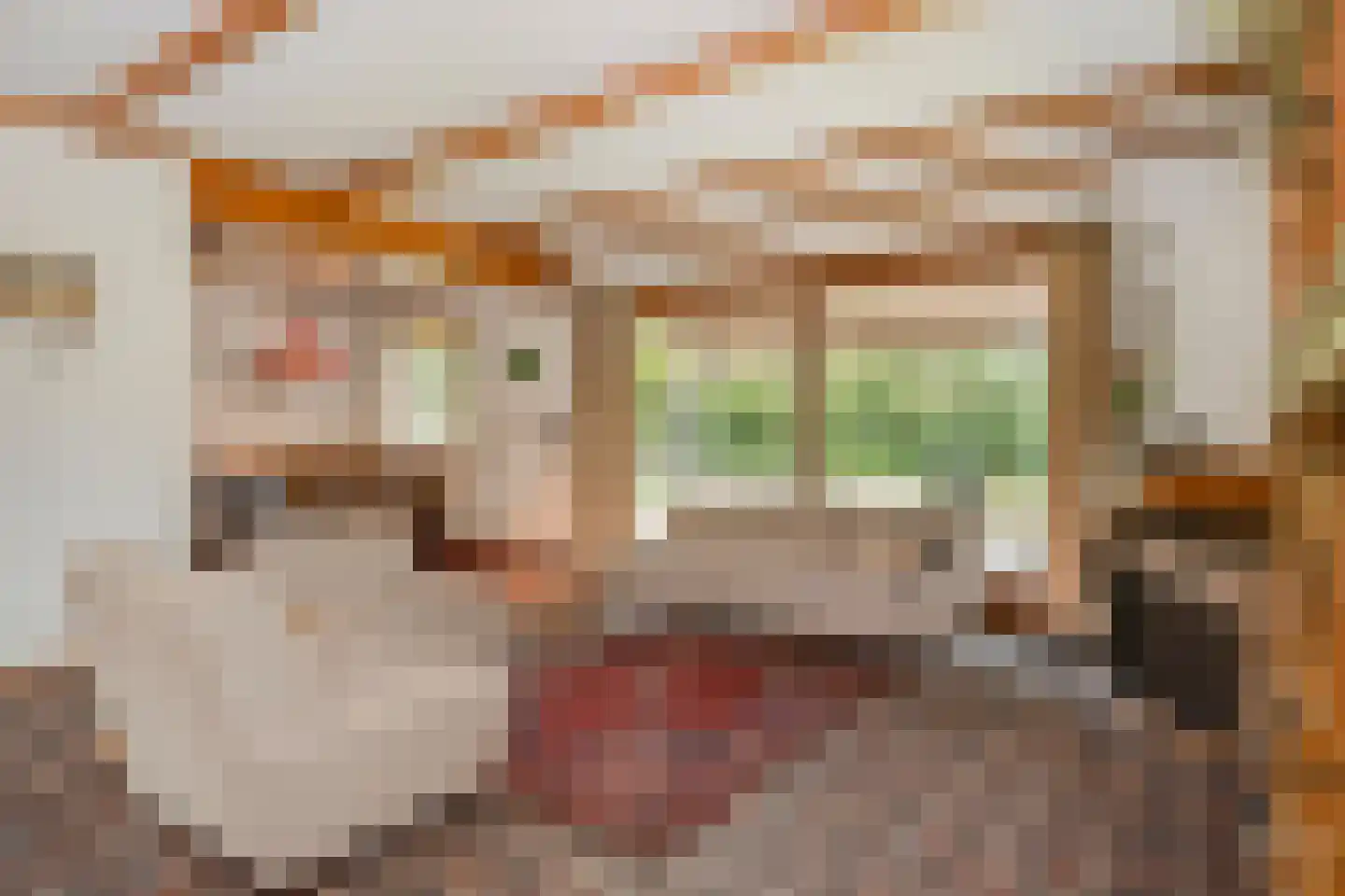 Molenaarlaan 20 Sittard thumbnail 21