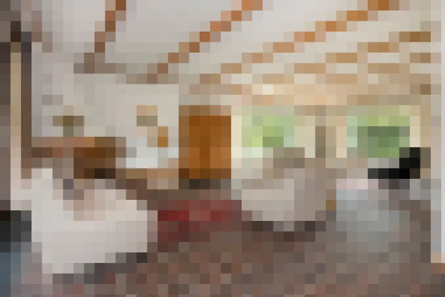 Molenaarlaan 20 Sittard thumbnail 23
