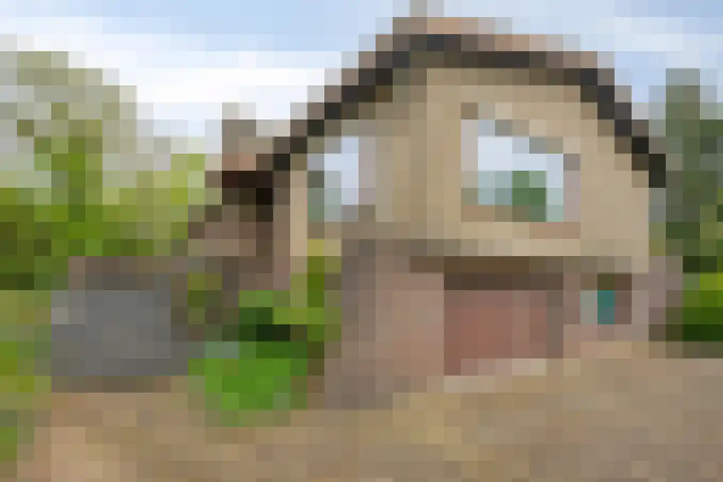 Molenaarlaan 20 Sittard thumbnail 8