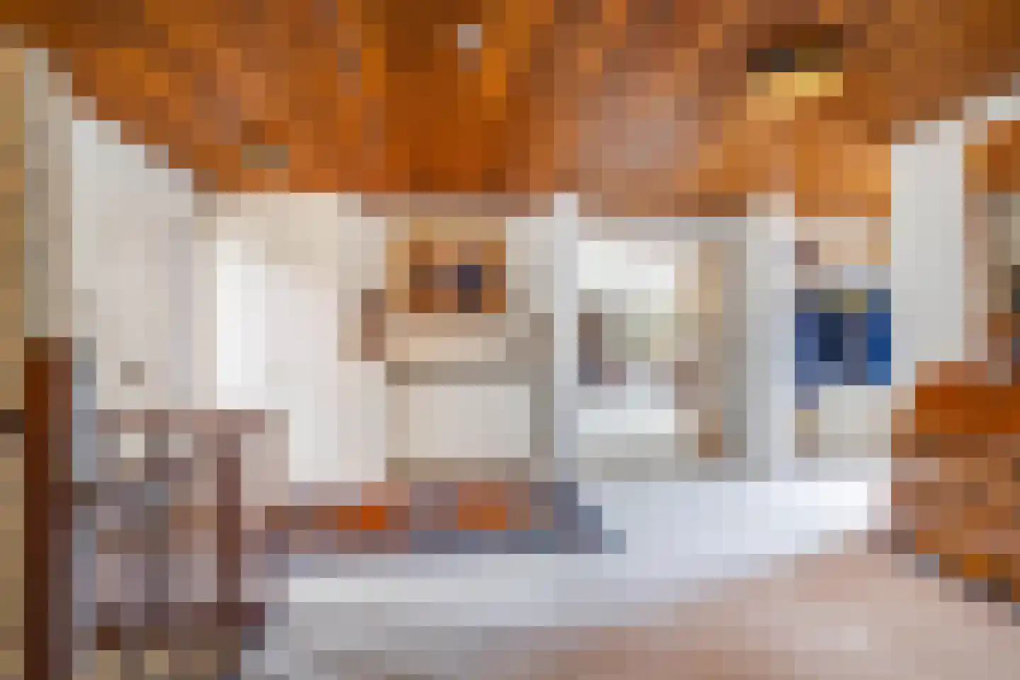 Molenaarlaan 25 Sittard thumbnail 10