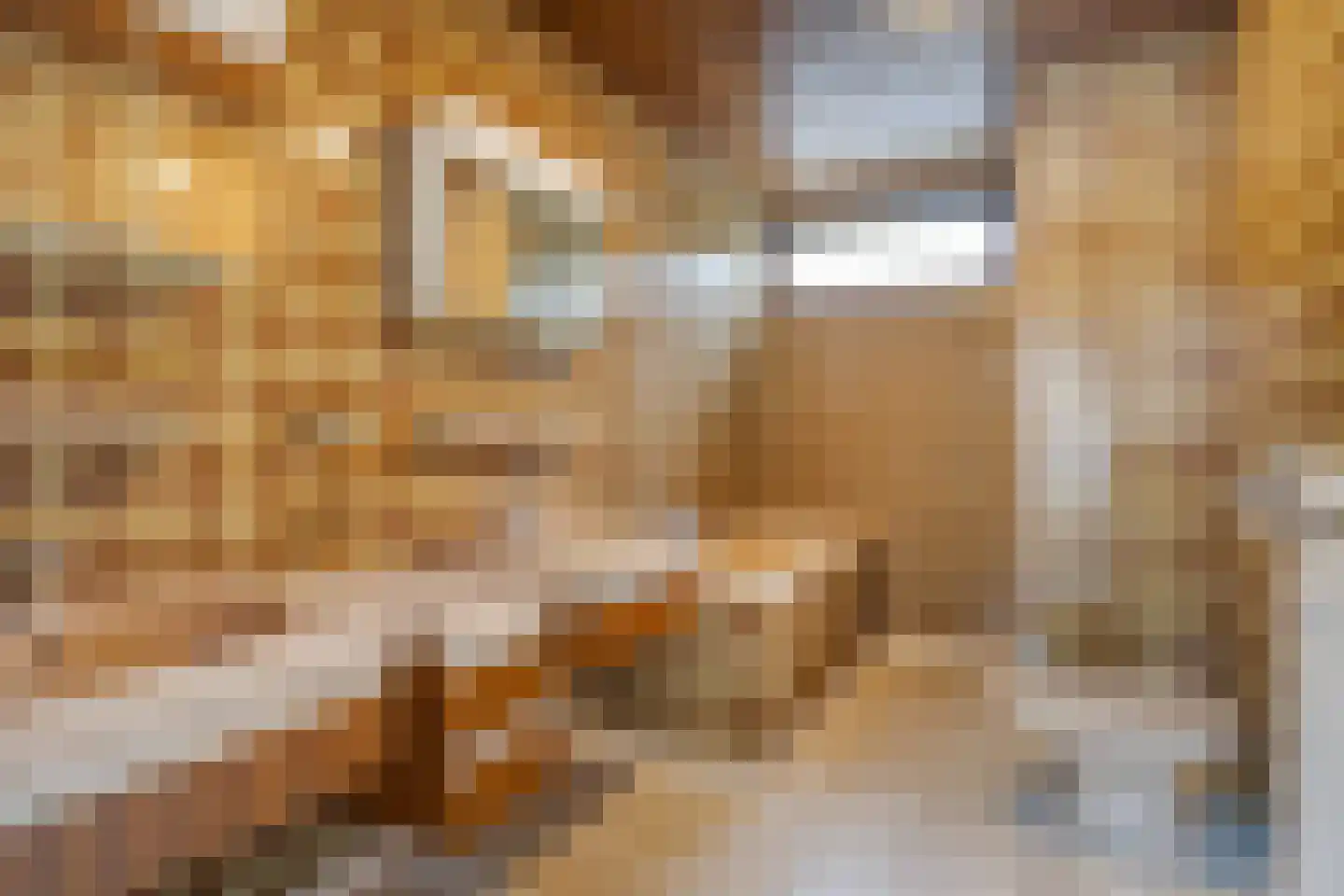 Molenaarlaan 25 Sittard thumbnail 14