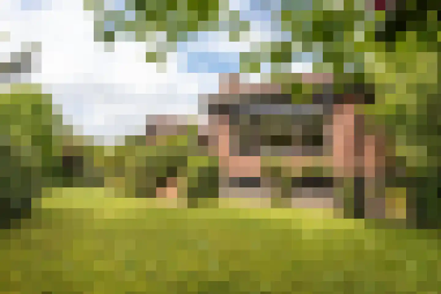 Molenaarlaan 25 Sittard thumbnail 28