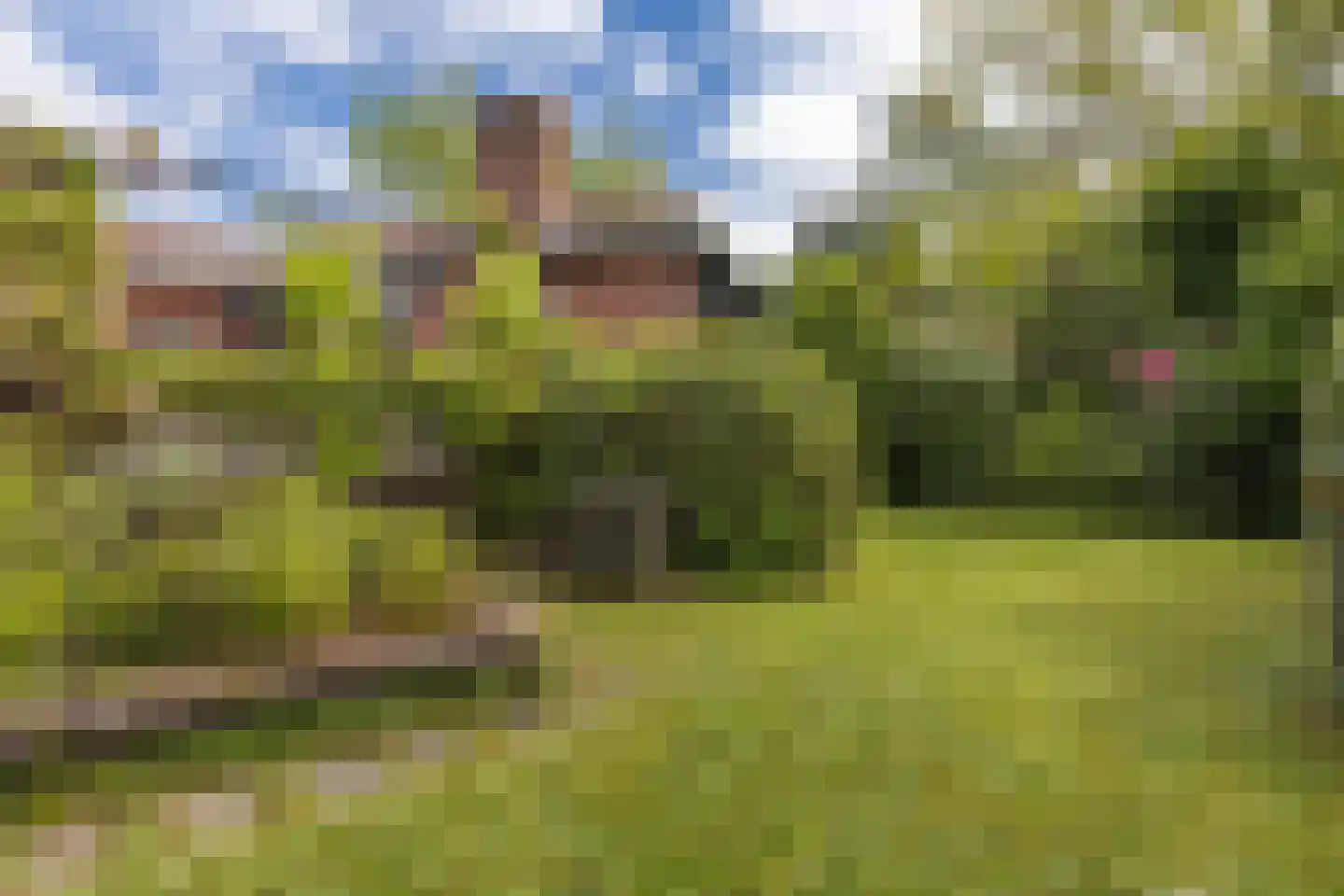 Molenaarlaan 25 Sittard thumbnail 30