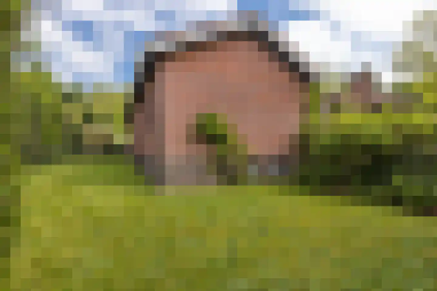 Molenaarlaan 25 Sittard thumbnail 31