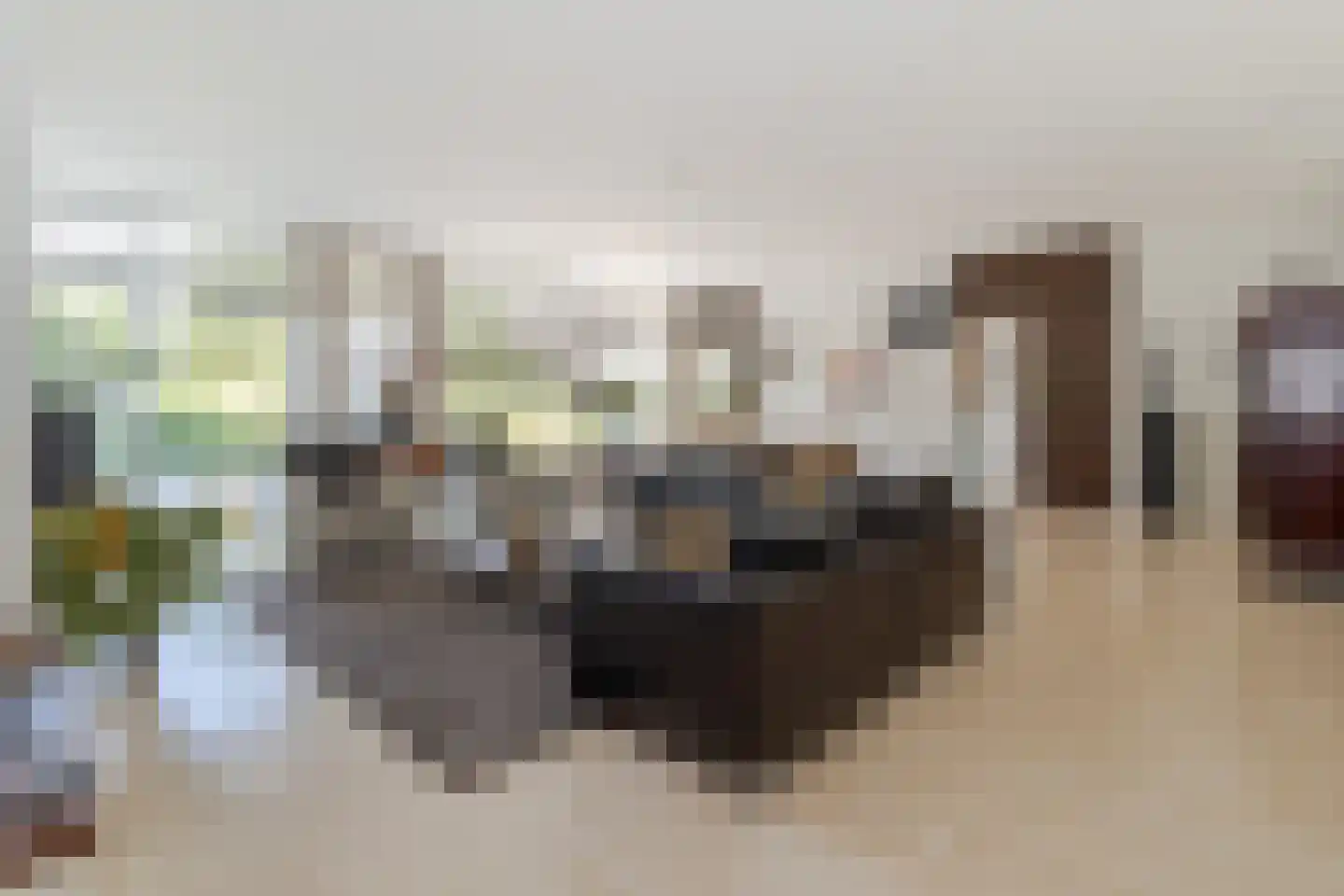 Molenaarlaan 6 Sittard thumbnail 14