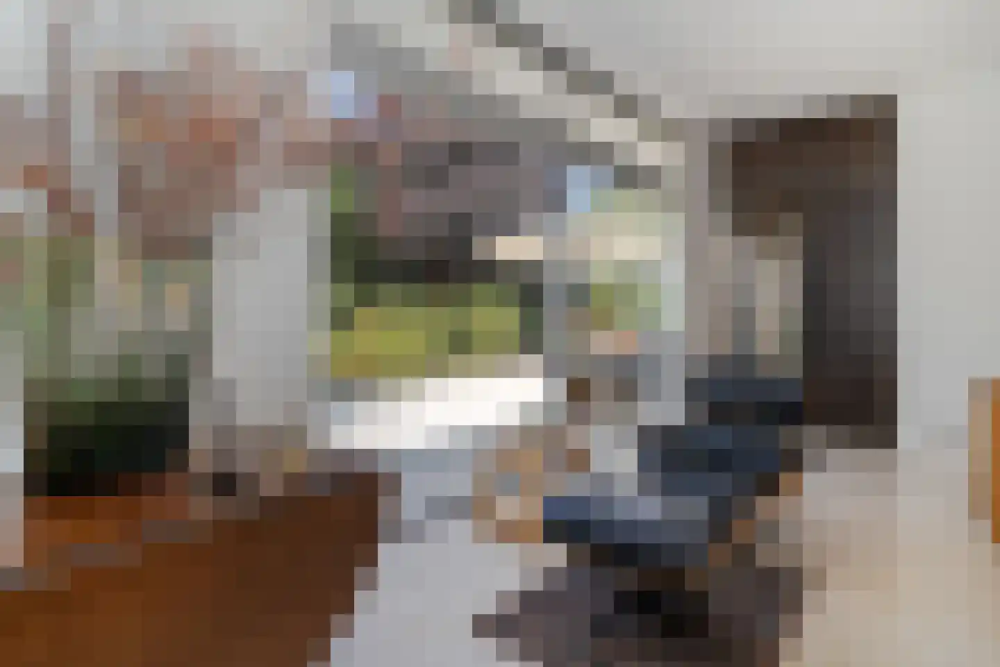 Molenaarlaan 6 Sittard thumbnail 16