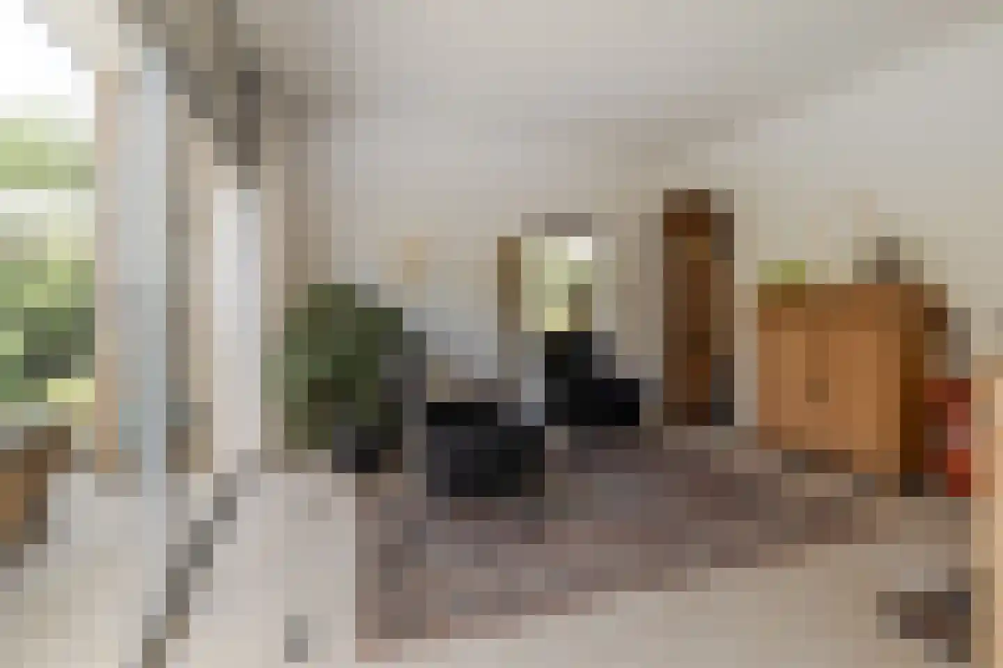 Molenaarlaan 6 Sittard thumbnail 20