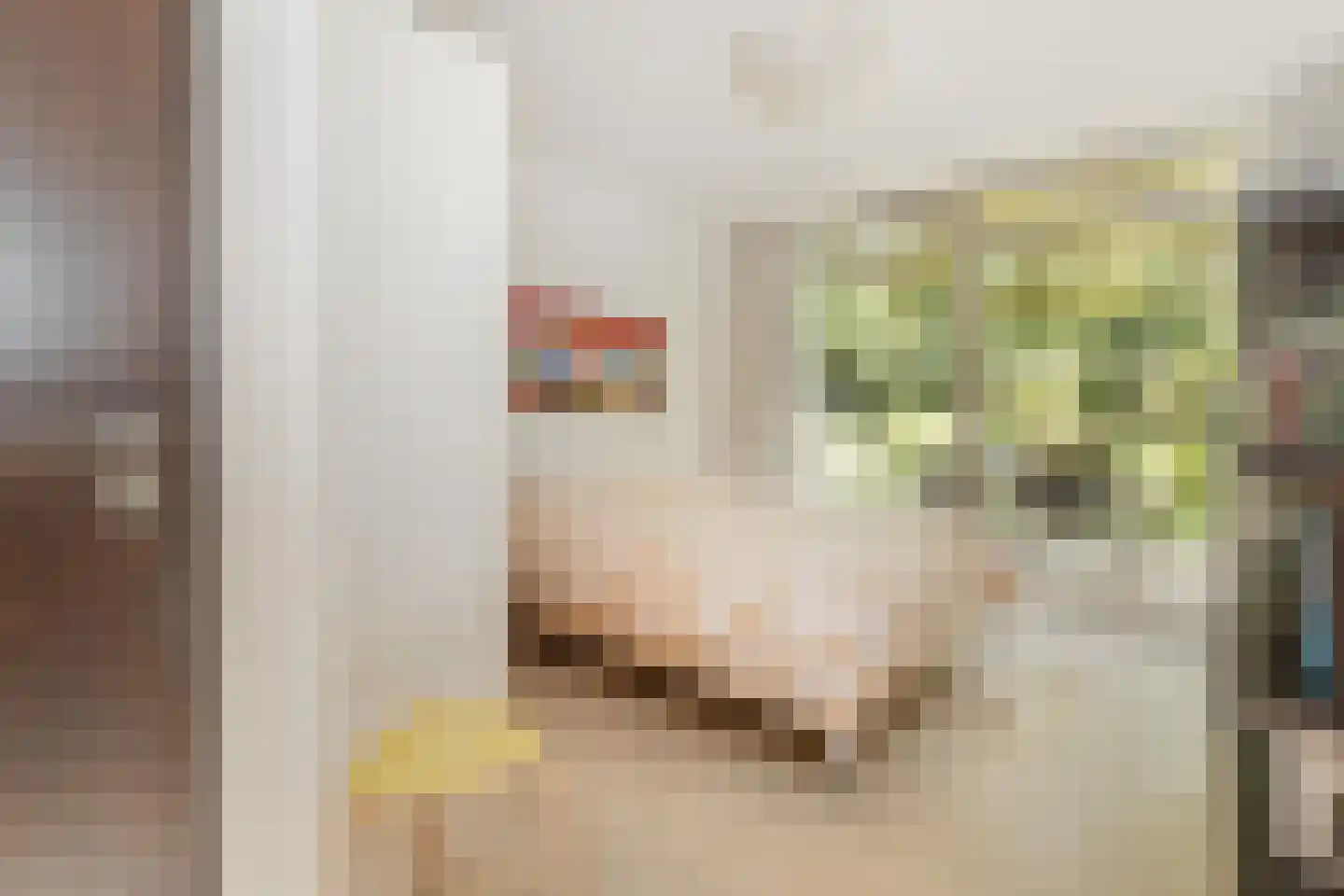 Molenaarlaan 6 Sittard thumbnail 36