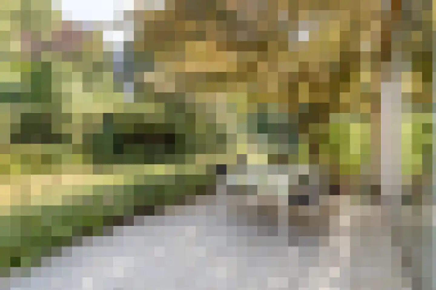 Molenaarlaan 6 Sittard thumbnail 41