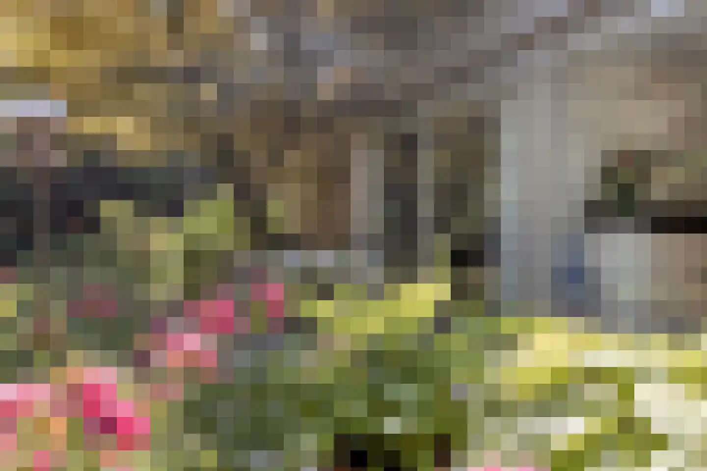Molenaarlaan 6 Sittard thumbnail 42