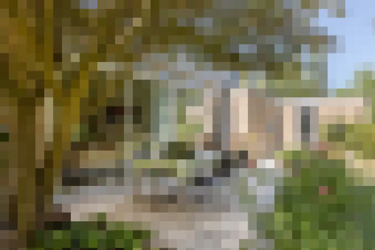 Molenaarlaan 6 Sittard thumbnail 43