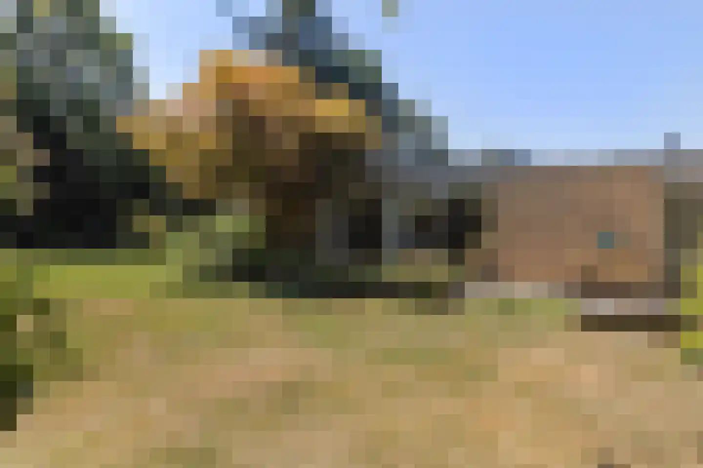 Molenaarlaan 6 Sittard thumbnail 46