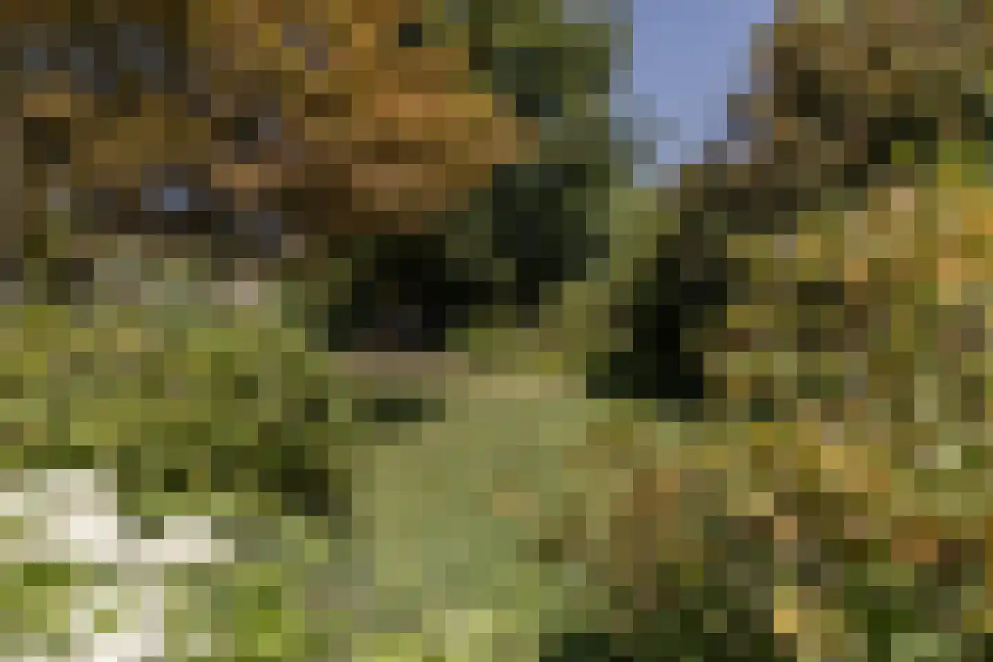 Molenaarlaan 6 Sittard thumbnail 47