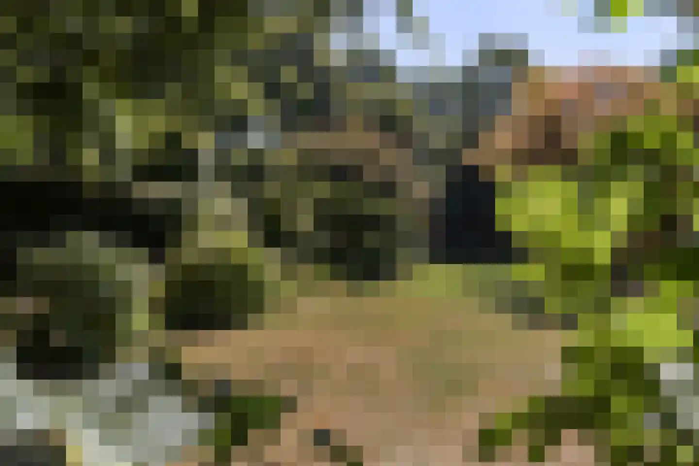 Molenaarlaan 6 Sittard thumbnail 48