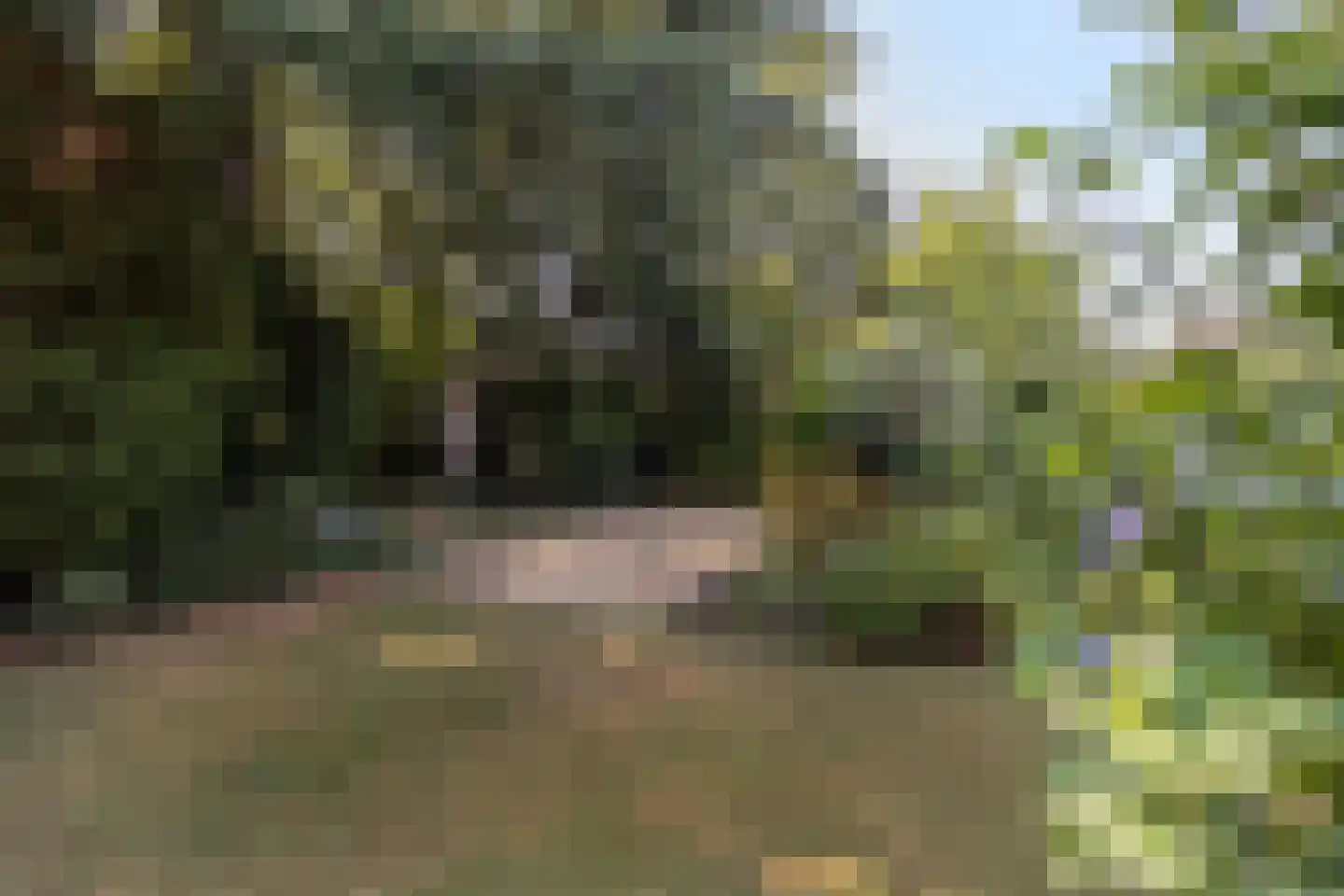Molenaarlaan 6 Sittard thumbnail 52