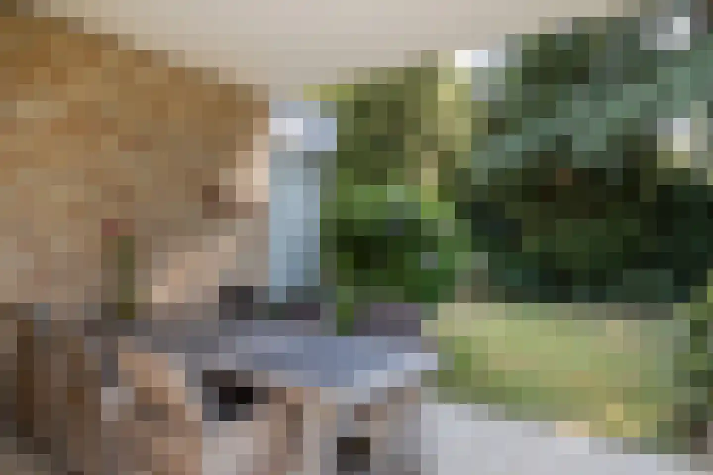 Molenaarlaan 6 Sittard thumbnail 57