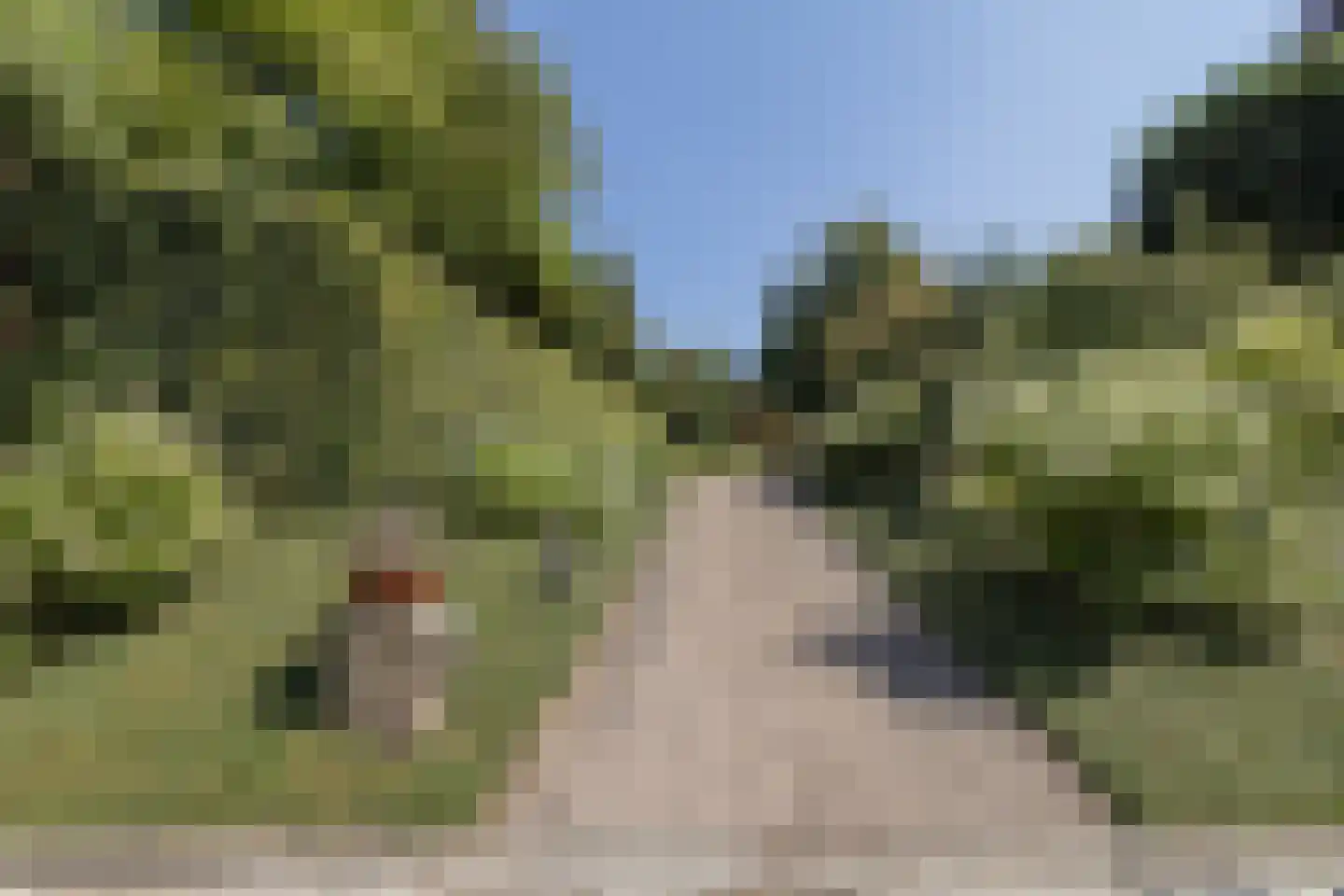 Molenaarlaan 6 Sittard thumbnail 6