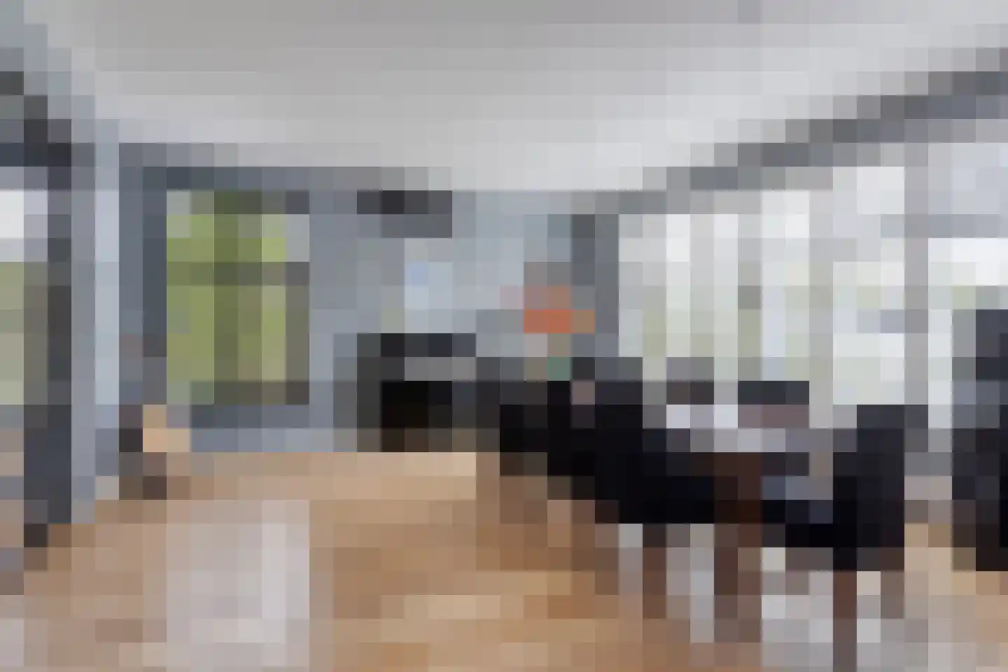Molenaarlaan 8 Sittard thumbnail 18